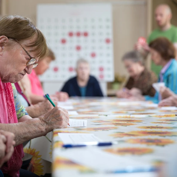 Taal BINGO over Alblasserdam