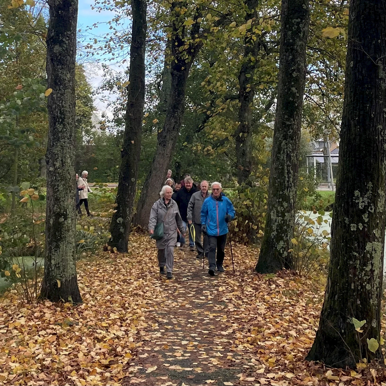 Wekelijkse welzijnswandeling